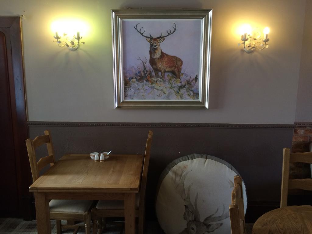 Elm Guest House Hawick Extérieur photo